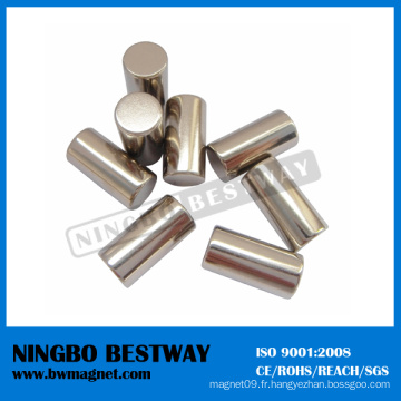 N48 D20X10mm W / Ni Carton NdFeB Cylinder Magnets